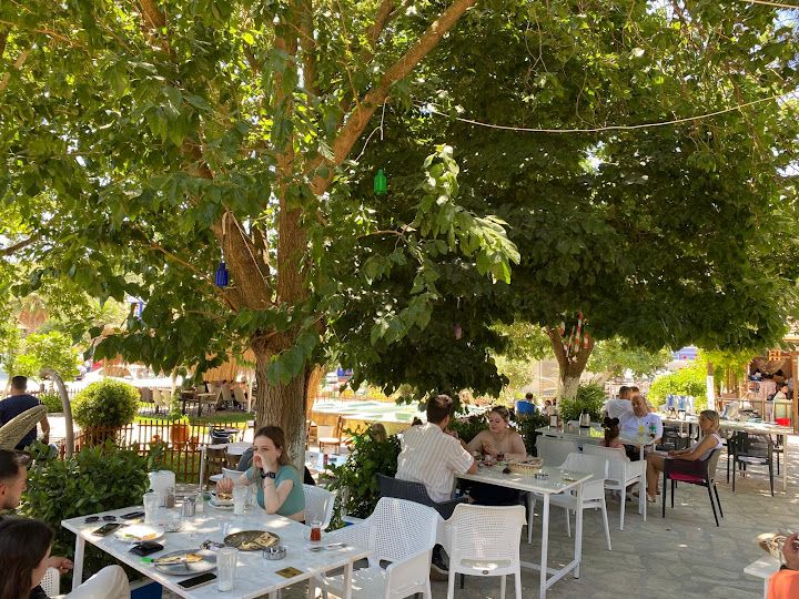 Fotoğraf 37
