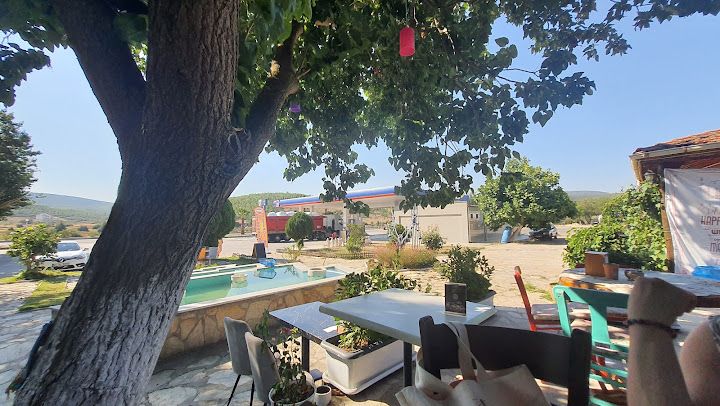 Fotoğraf 30