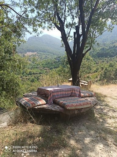 Yorum fotoğrafı 5