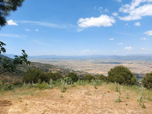 Fotoğraf 13