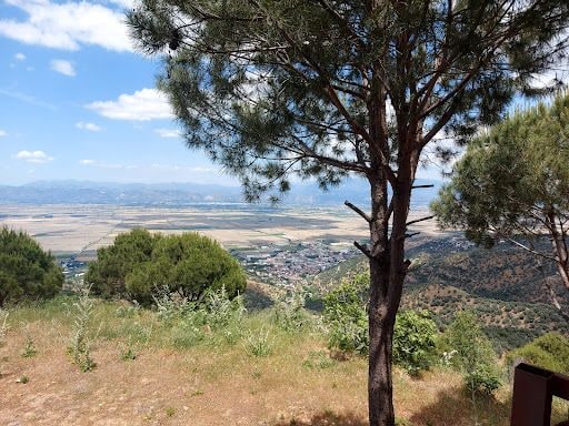 Fotoğraf 16