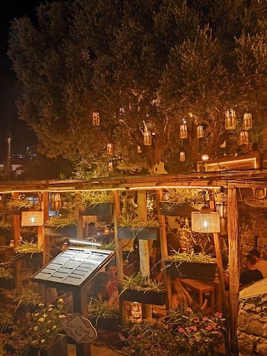 Yorum fotoğrafı 5