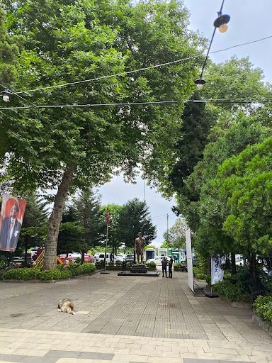 Fotoğraf 18