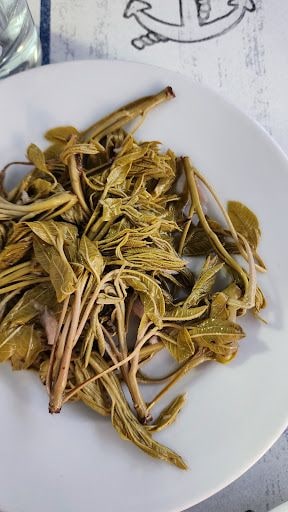 Fotoğraf 21