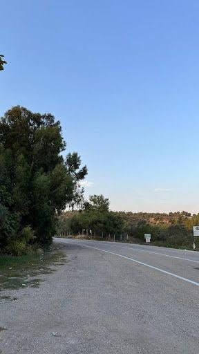 Yorum fotoğrafı 8