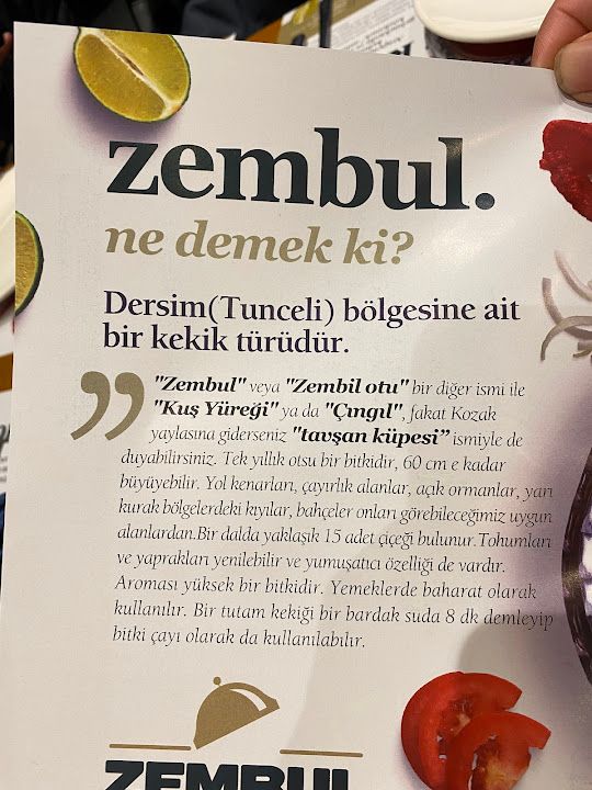 Fotoğraf 19