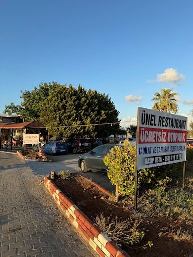 Fotoğraf 24