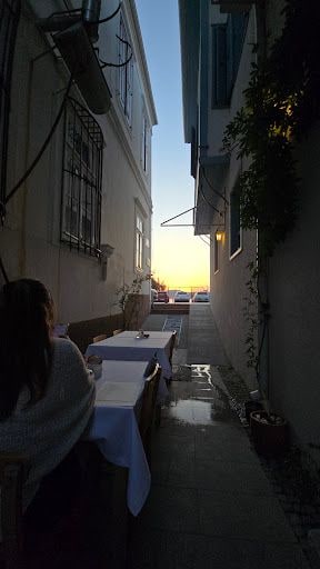Fotoğraf 15