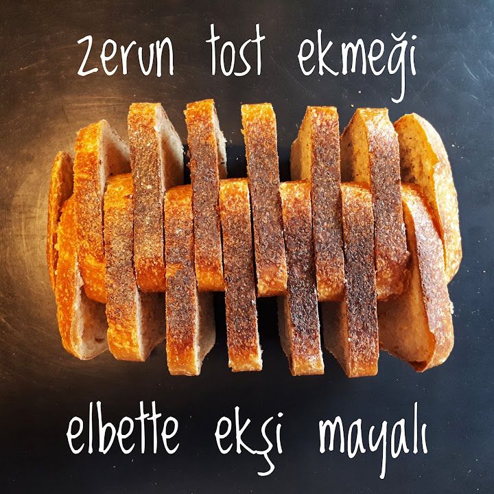 Fotoğraf 16