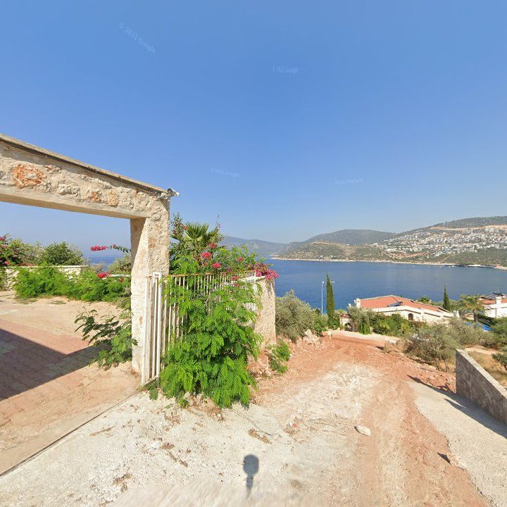 Fotoğraf 9