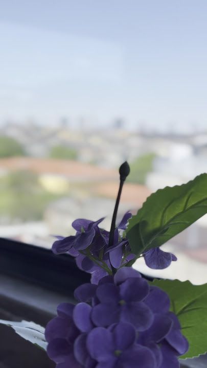Fotoğraf 28