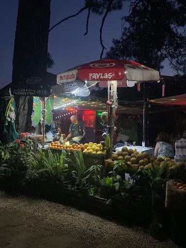 Fotoğraf 14