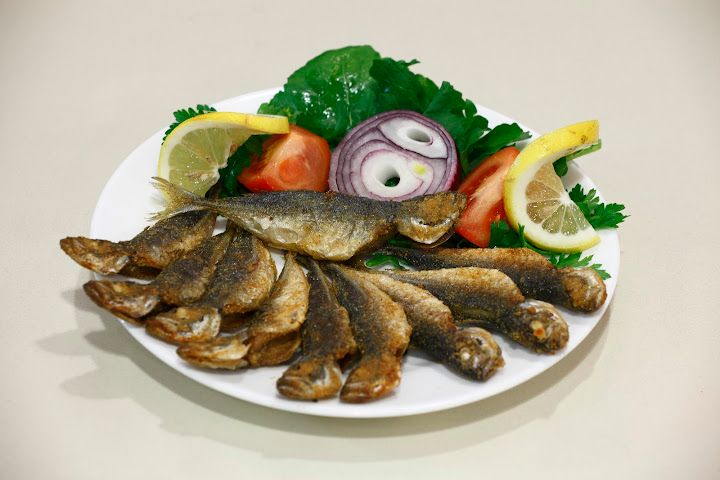 Fotoğraf 24