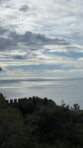 Yorum fotoğrafı 9