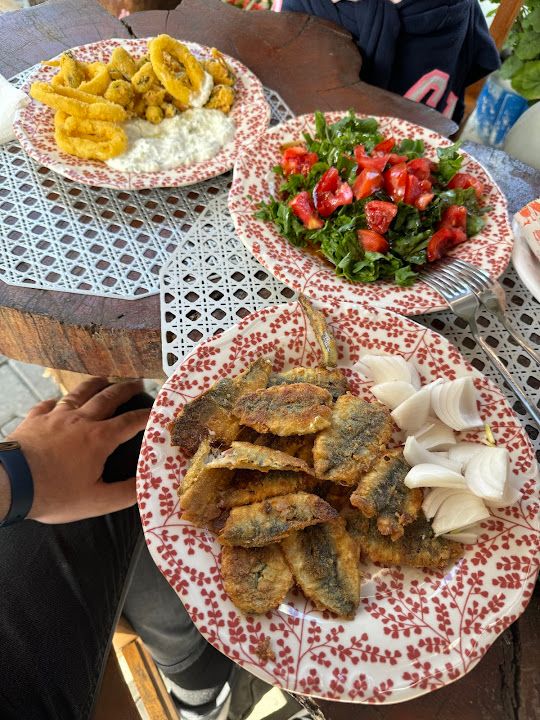 Fotoğraf 19