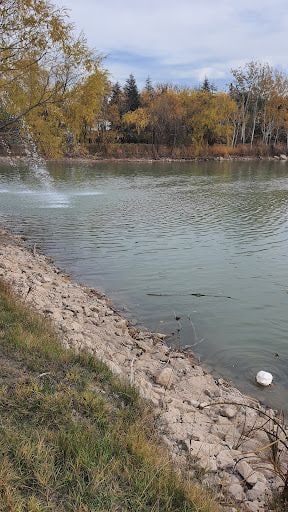 Yorum fotoğrafı 6