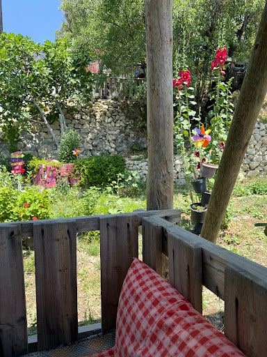 Yorum fotoğrafı 4