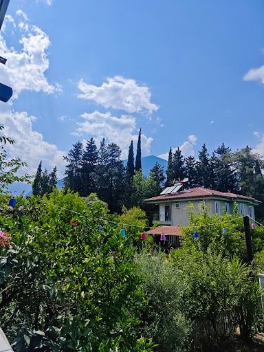 Yorum fotoğrafı 6