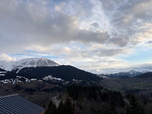 Fotoğraf 30