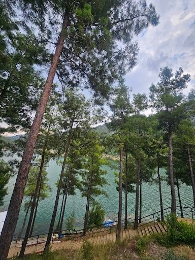 Yorum fotoğrafı 4