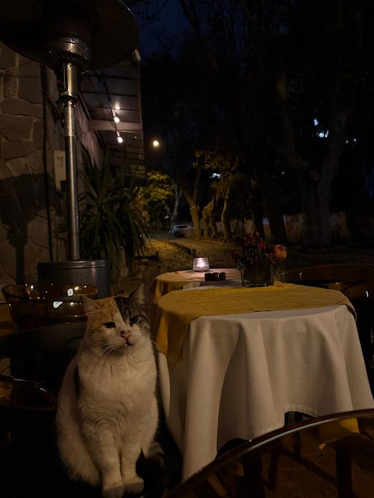 Yorum fotoğrafı 2