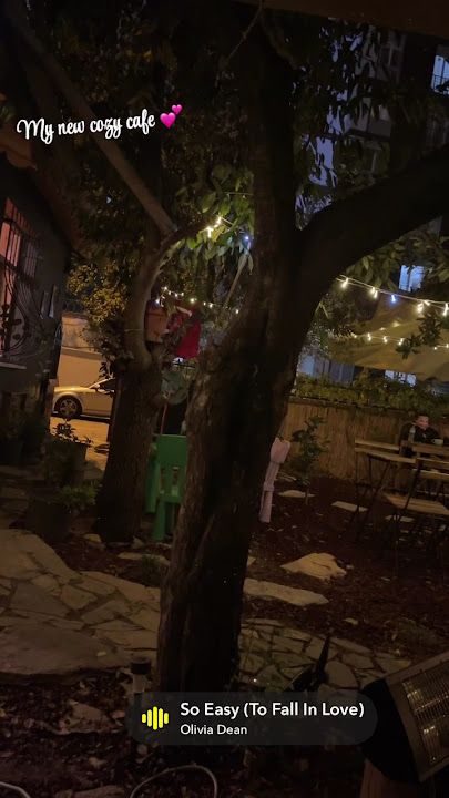 Fotoğraf 15