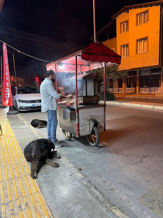 Yorum fotoğrafı 1
