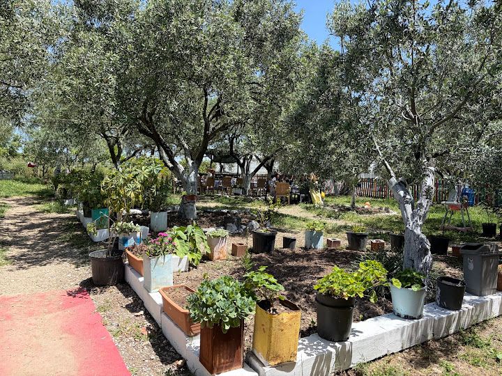 Fotoğraf 36