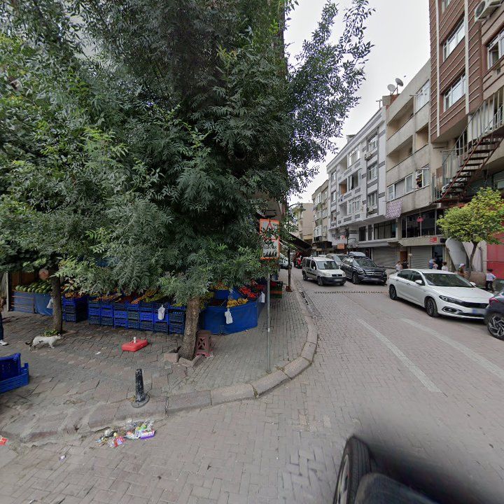 Fotoğraf 11