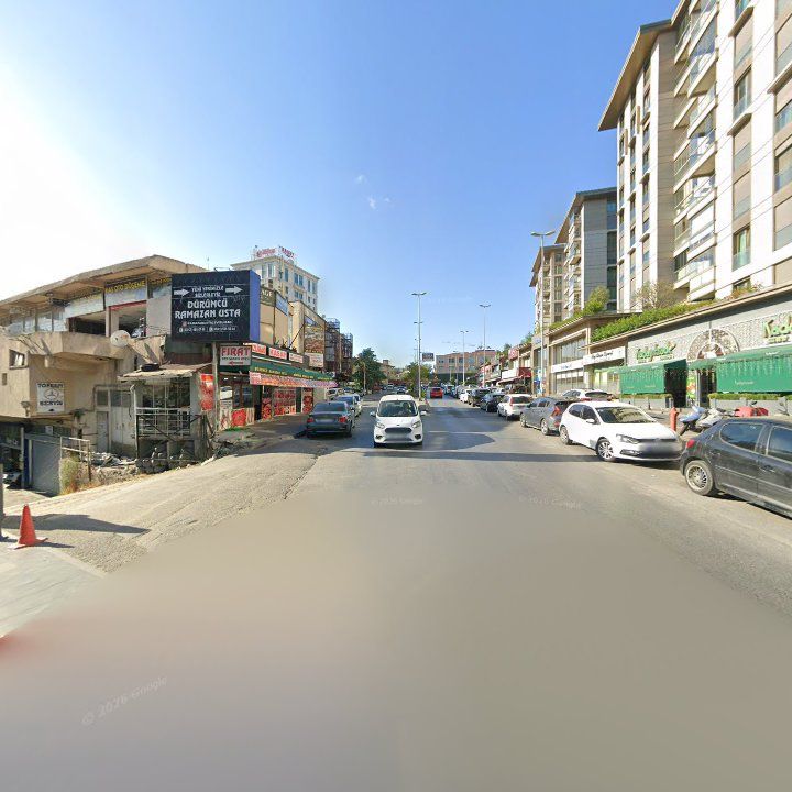 Fotoğraf 13