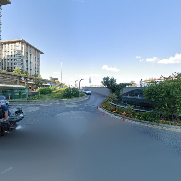 Fotoğraf 12