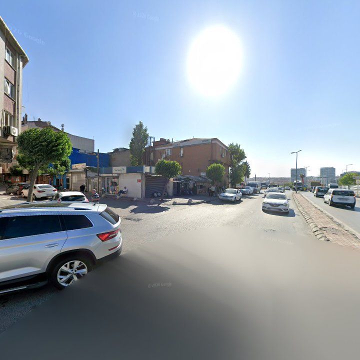 Fotoğraf 10
