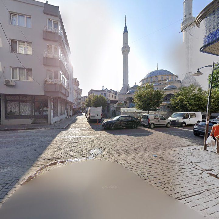 Fotoğraf 9