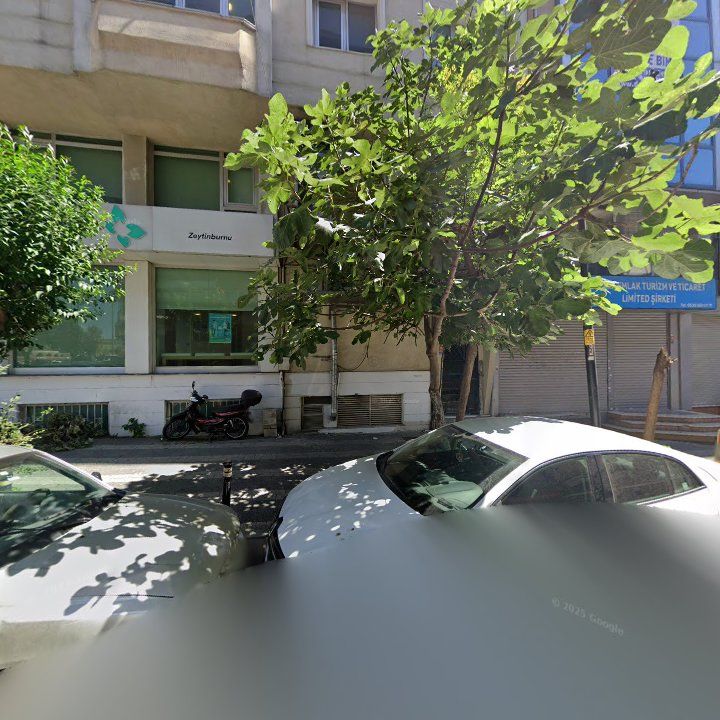 Fotoğraf 12