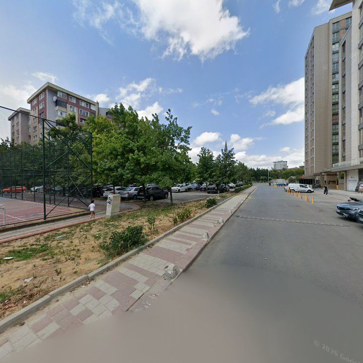 Fotoğraf 10