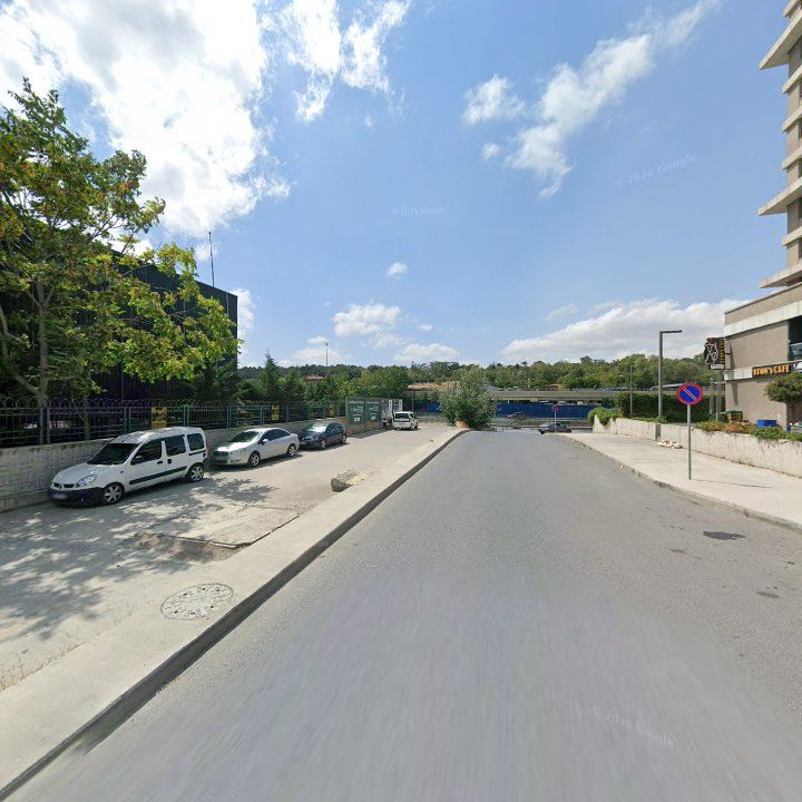 Fotoğraf 9