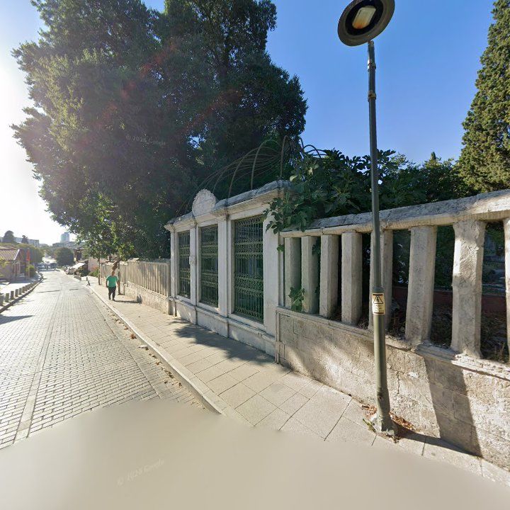 Fotoğraf 11