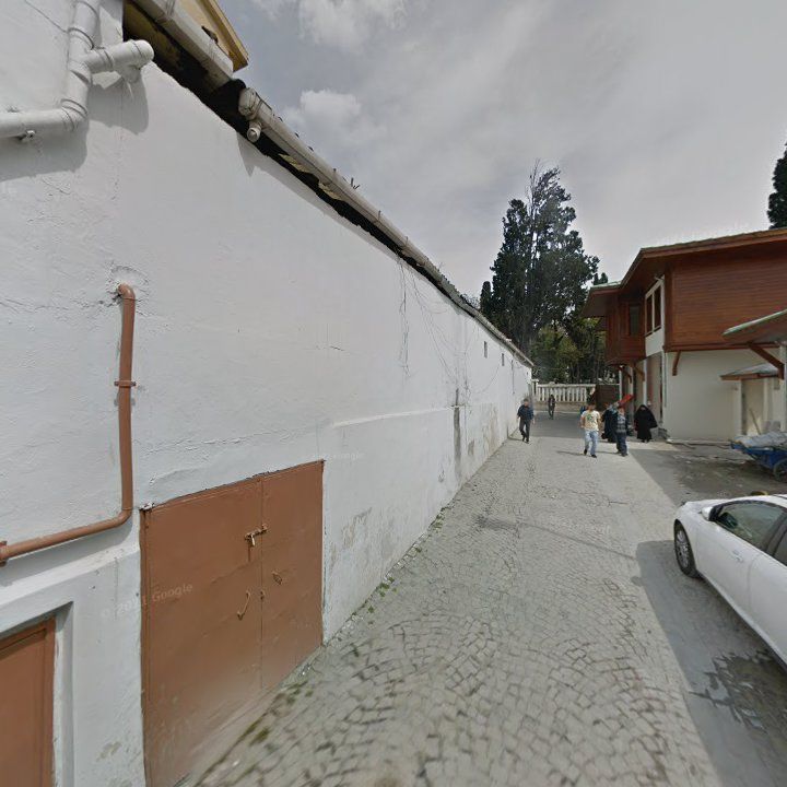 Fotoğraf 14