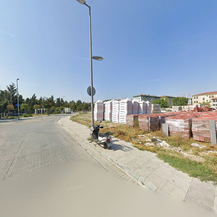 Fotoğraf 11