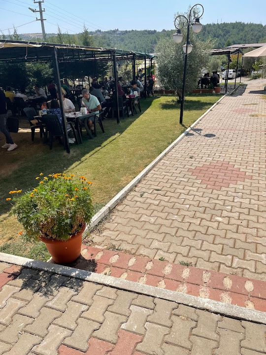 Fotoğraf 16