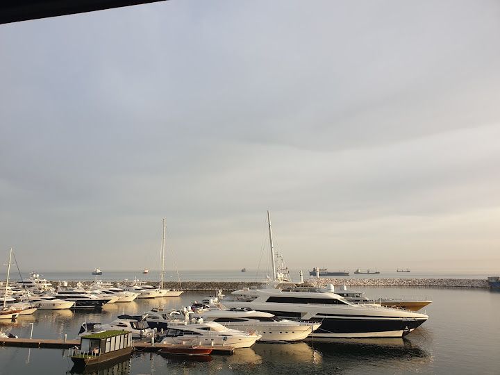 Fotoğraf 63