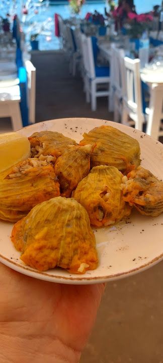 Fotoğraf 30