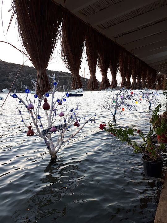 Fotoğraf 12