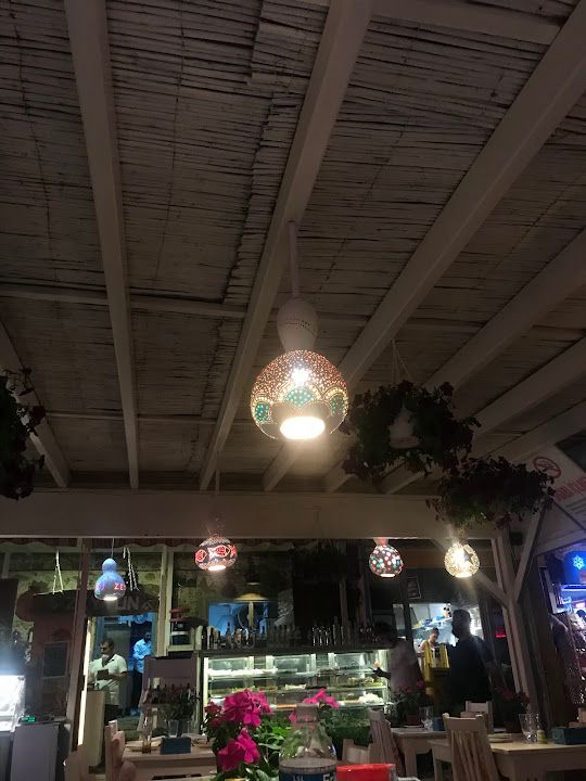 Fotoğraf 24
