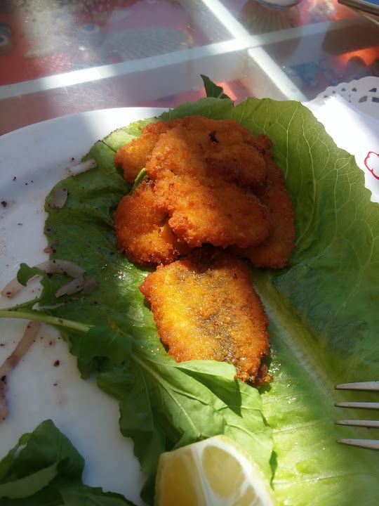 Fotoğraf 19