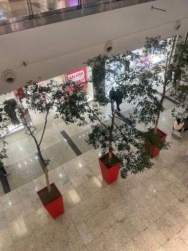 Yorum fotoğrafı 4