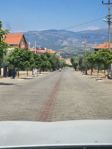 Fotoğraf 29