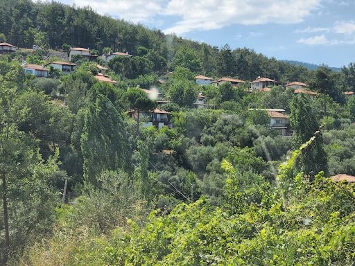 Fotoğraf 30