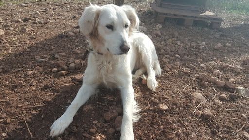 Yorum fotoğrafı 3