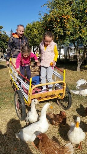 Yorum fotoğrafı 6